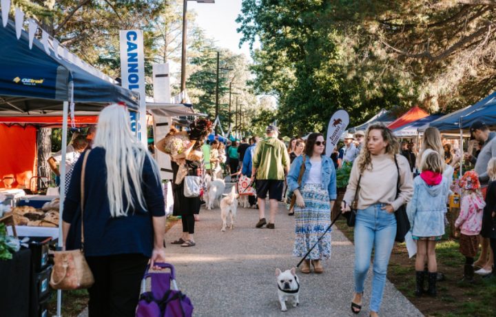 20 ways to spend this wintry weekend in Canberra